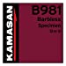 Kamasan  Specimen B981 Barbless Hooks Size 6
